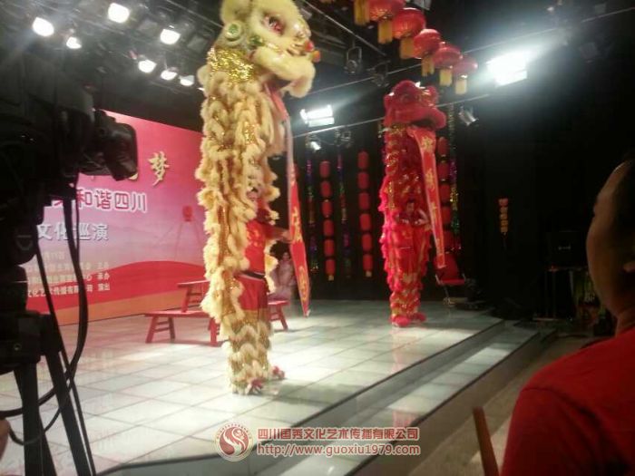 “實(shí)現(xiàn)偉大中國(guó)夢(mèng) 建設(shè)美麗繁榮和諧四川”人口文化巡演